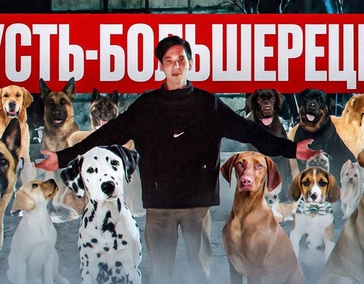 Накормили всех собак в Усть-Большерецке