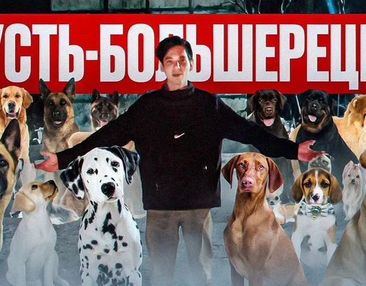 Накормили всех собак в Усть-Большерецке